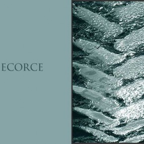 ecorce